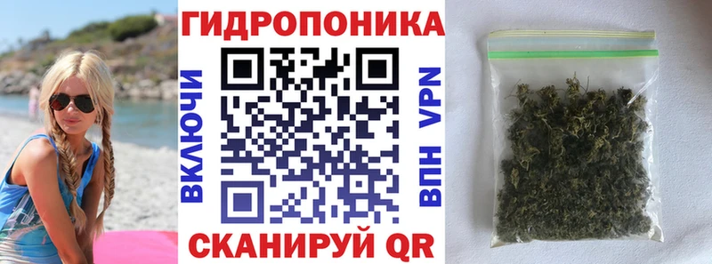 omg Котельнич Конопля VHQ